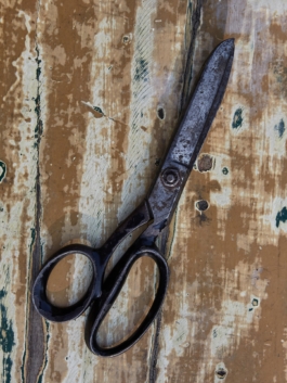 Graustufen Podcast — Martina Glomb